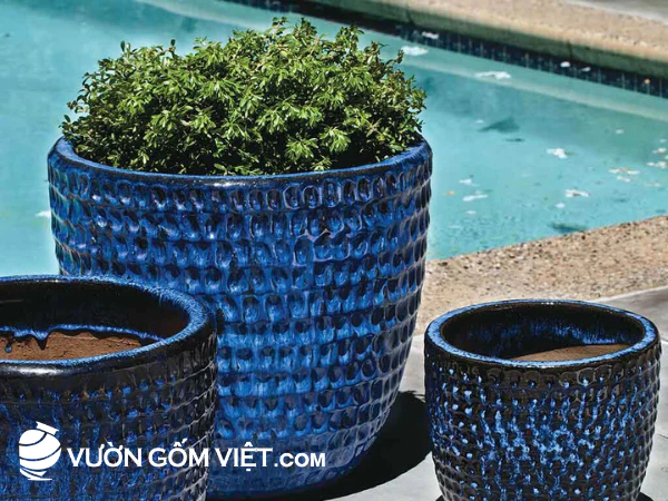 chậu gốm trồng cây