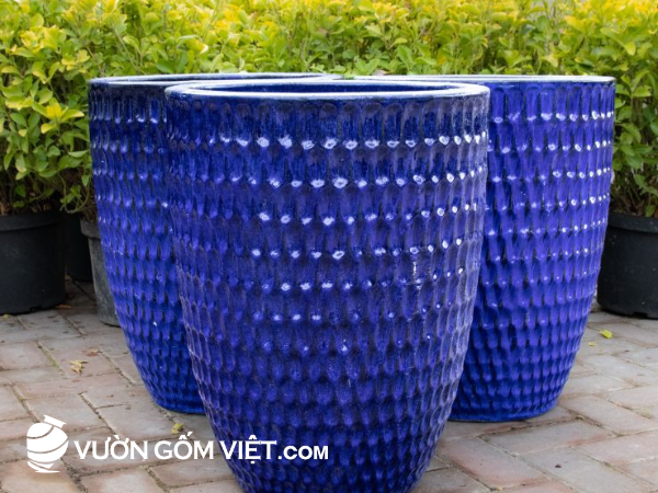 chậu gốm trồng cây