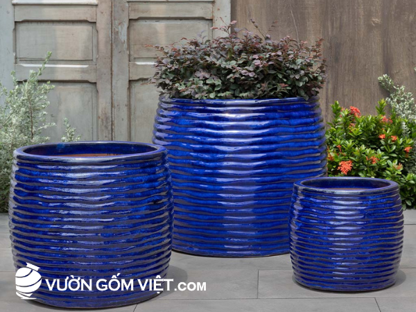 chậu gốm trồng cây