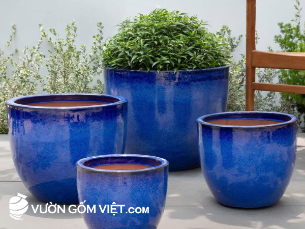 chậu gốm trồng cây