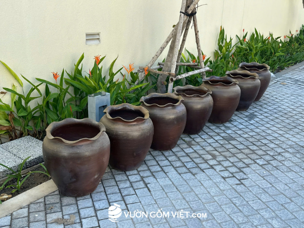 dàn lu gốm trồng cây decor