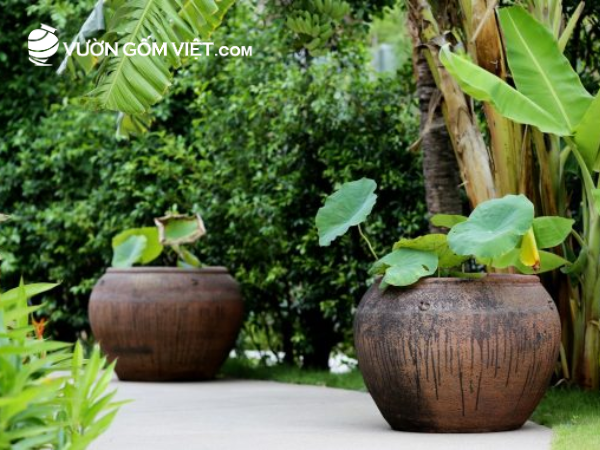 chậu gốm trang trí sân vườn
