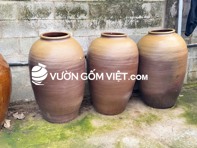 Chậu trồng cây cỡ lớn tại tphcm