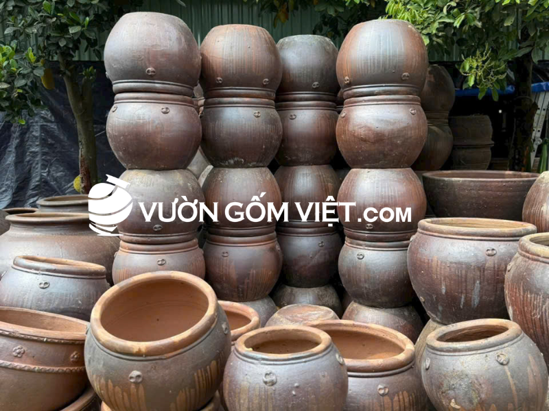 chậu sứ trồng cây mua ở đâu 