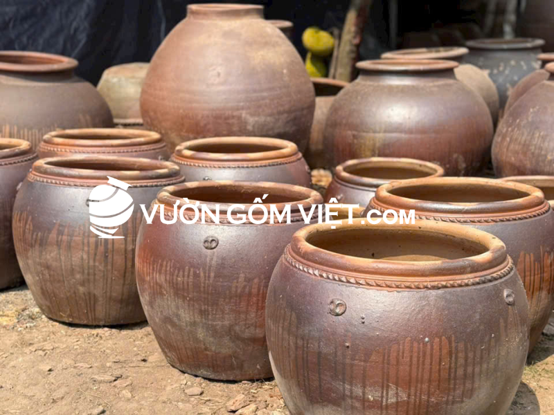 Bán chậu trồng cây đất nung cỡ lớn