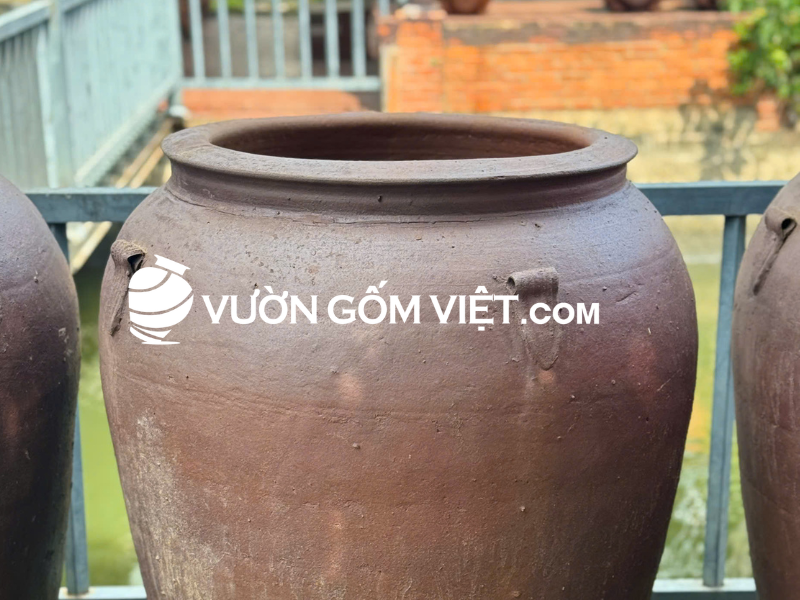chậu đất đen trồng cây cỡ lớn