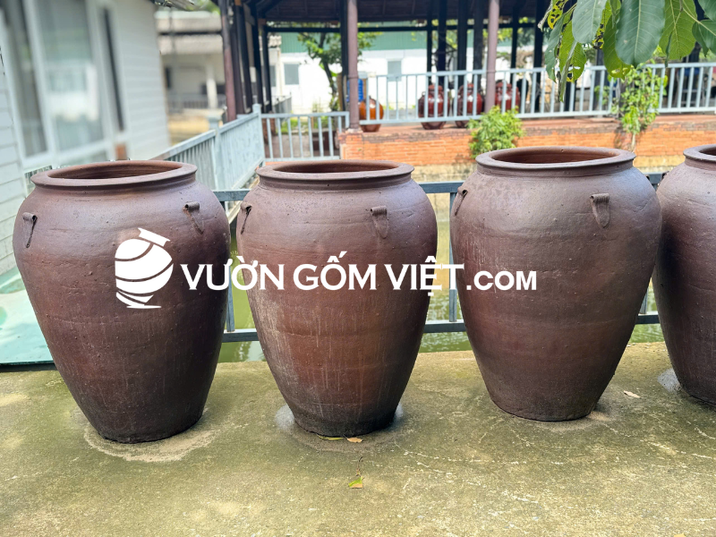 chậu trồng sen 
