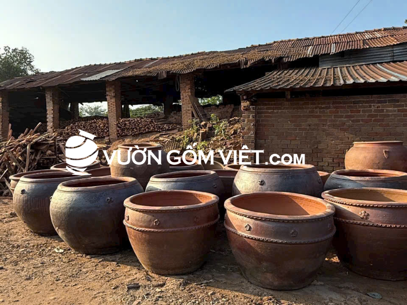 chậu lớn trồng sen