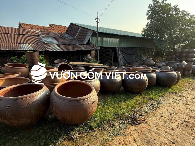 lu vú trồng cây 