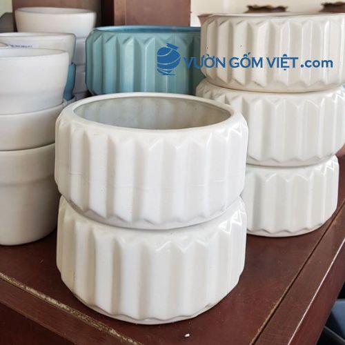 Chậu bánh xe