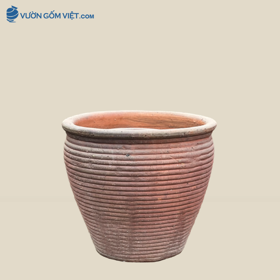 Chậu Đất Đen Trồng Cây Dáng Nón Sọc Cao 60cm