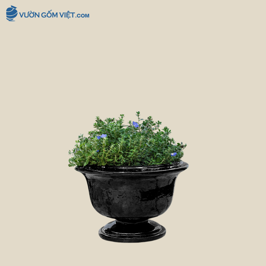 Chậu Đen Decor Dáng Ly - C058