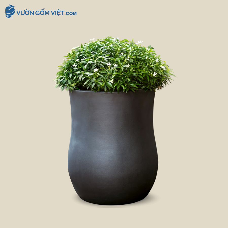 Chậu Gốm Trồng Cây, Chậu Trang Trí - C046