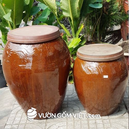 Chum sành bình dương