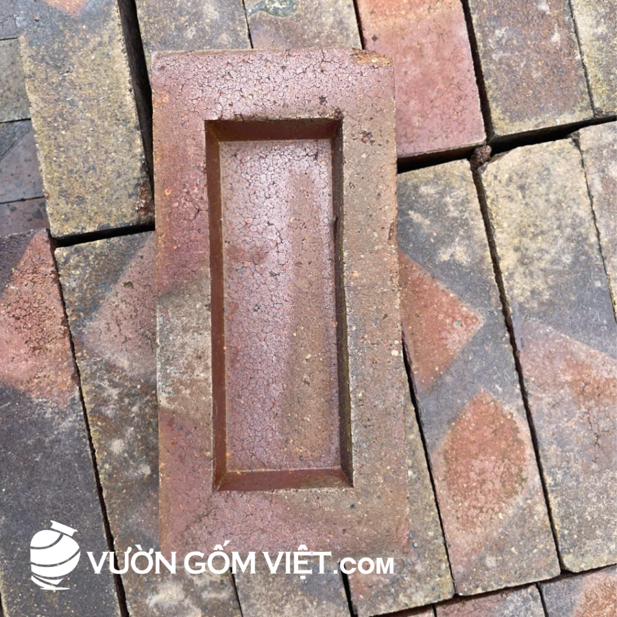 Gạch xây không trát có lỗ 10x20