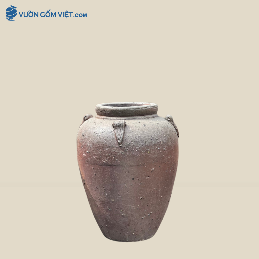 Lu Trồng Cây Dáng Chóe Có 4 Tai Cao 60cm