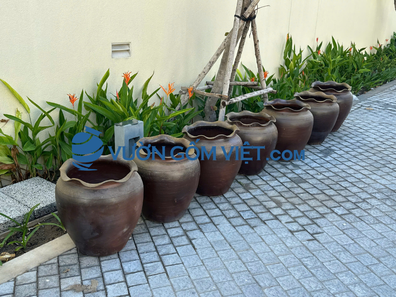 chậu trồng cây sân vườn