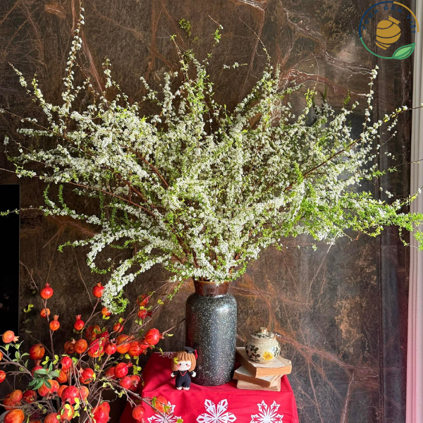 hoa tuyết