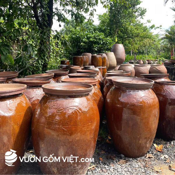 phơi nắng chậu