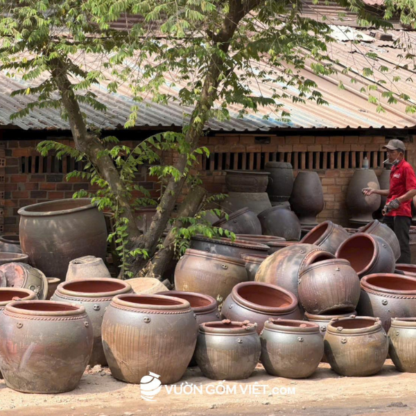 chậu trồng cây 