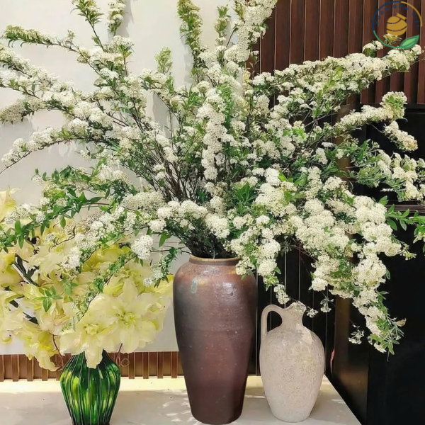 cắm tuyết