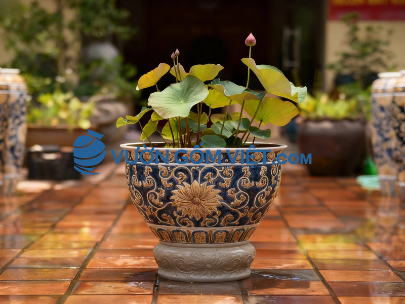 chậu gốm sân vườn
