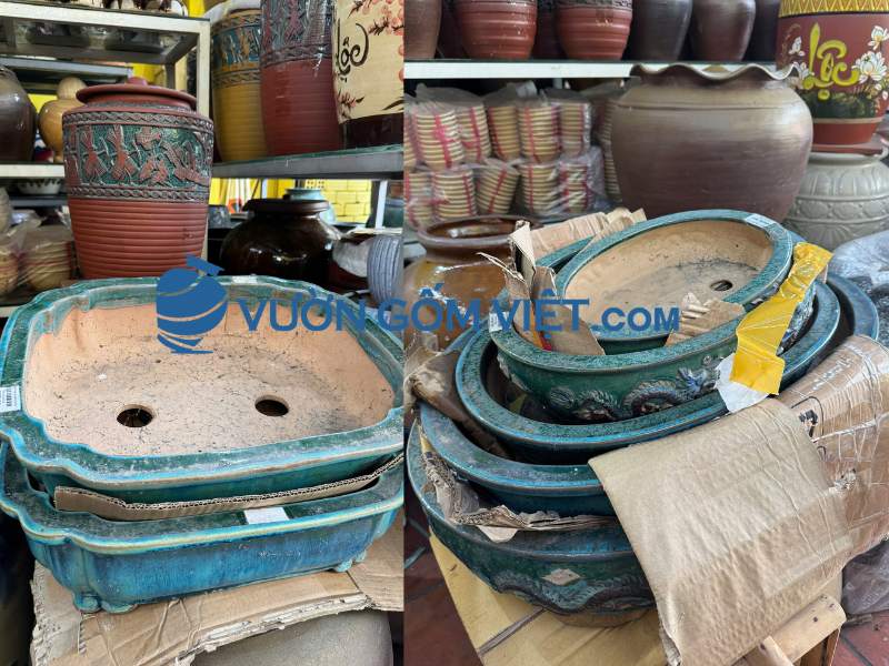 kinh nghiệm chọn mua chậu trồng cây