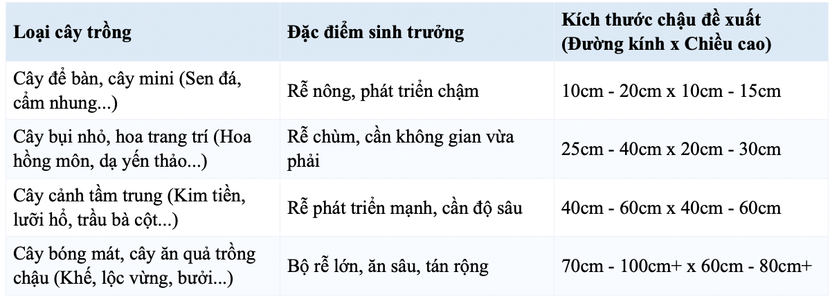 hướng dẫn chọn chậu trồng cây
