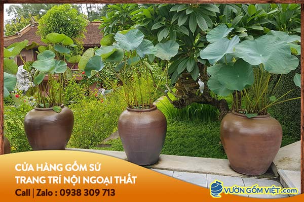 Cách trang trí sân vườn nhà cấp 4