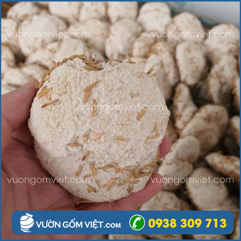 cách ủ rượu trắng đơn giản tại nhà ngon