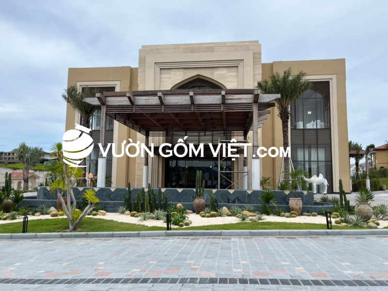 chậu đất nung đẹp