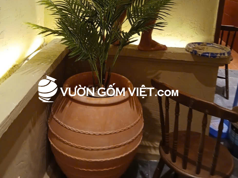 chậu đất nung trồng cây