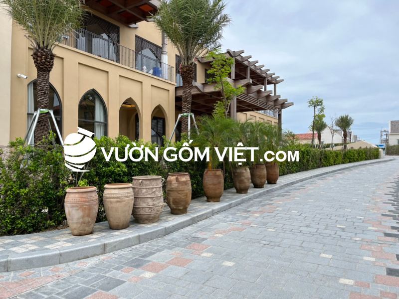 chậu trồng cây bằng đất nung