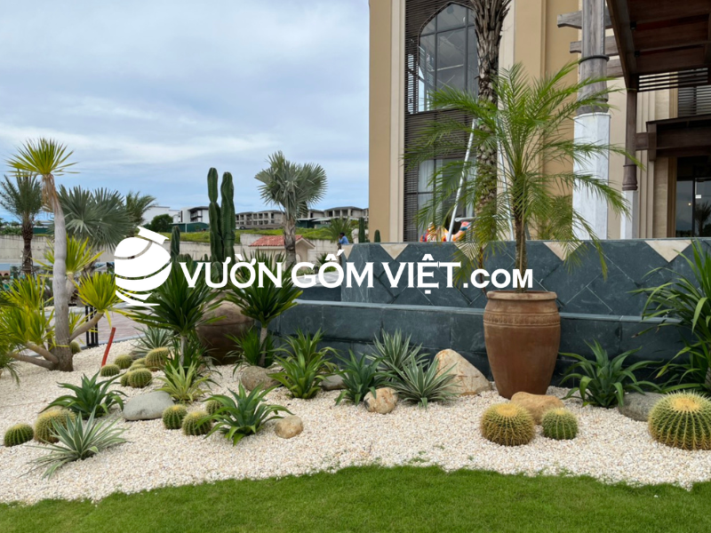 chậu đất nung trồng cây