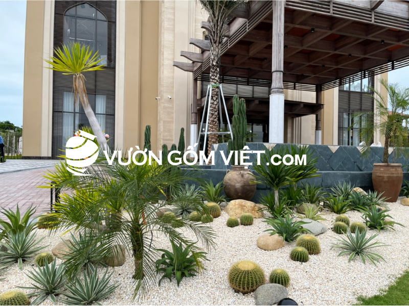 chậu đất nung decor trang trí