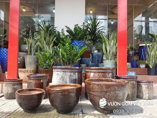 Lý do nhiều người thích mua chậu cảnh gốm sứ