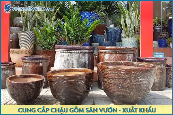 Mua chậu gốm Bình Dương ở đâu vừa đẹp vừa rẻ?