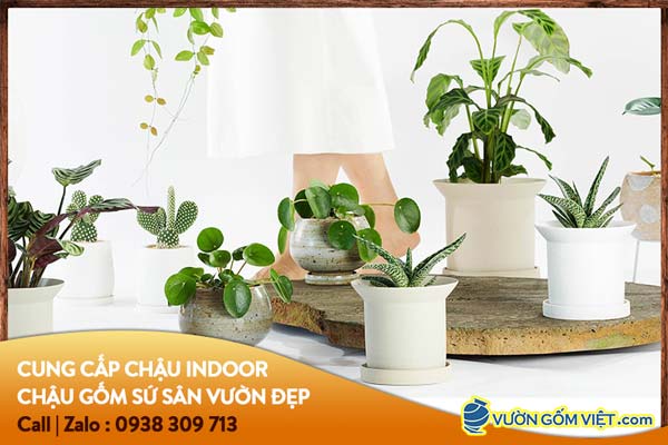 Đặc điểm của chậu trang trí để bàn