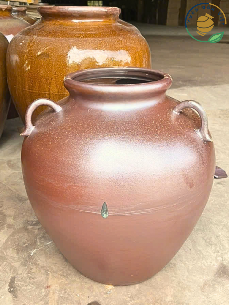 ngâm rượu