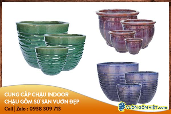 Chậu cây hợp phong thủy