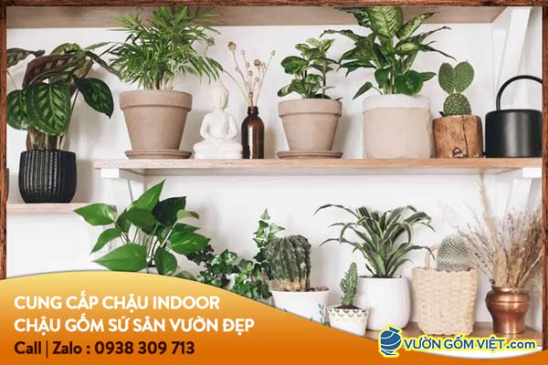 Mẫu chậu trang trí trong nhà, chậu gốm indoor đẹp