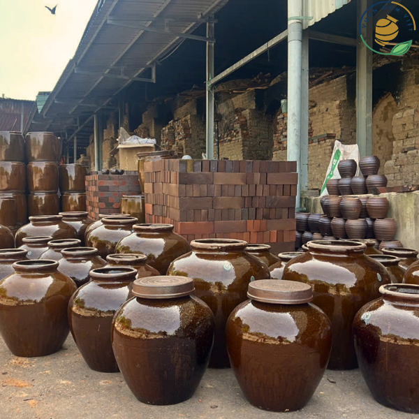 ngâm rượu