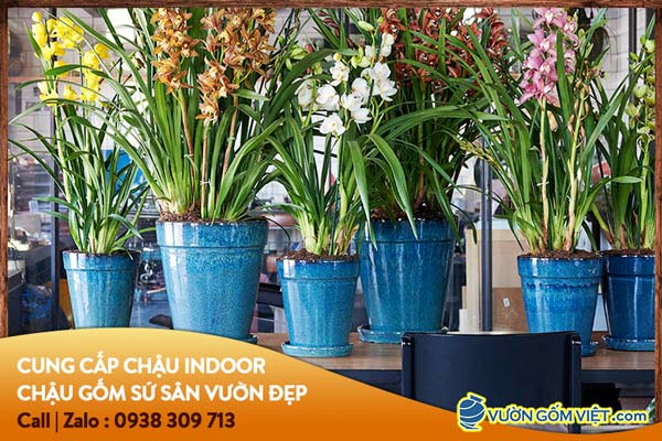 Tư vấn mua đồ gốm trang trí nội thất
