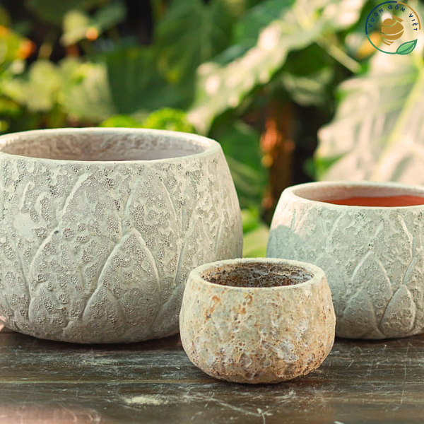 chậu trồng cây