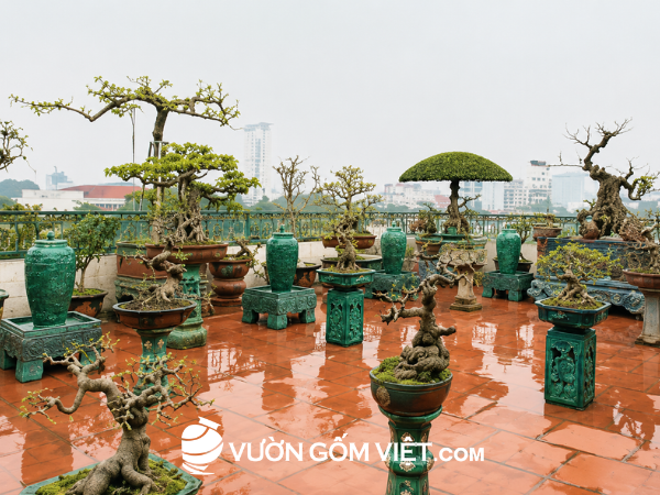 lu nước phong thủy cùng cây bonsai