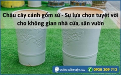 Chậu cây cảnh gốm sứ - Sự lựa chọn tuyệt vời cho không gian nhà cửa, sân vườn