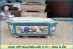 Chậu gốm bonsai: 5 Nguyên tắc cần nhớ khi chọn mua