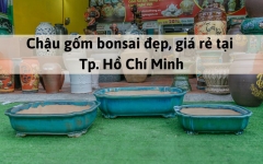 Chậu gốm bonsai đẹp, giá rẻ tại Tp. Hồ Chí Minh