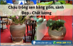 Chậu trồng sen bằng gốm, sành - Đẹp - Chất lượng