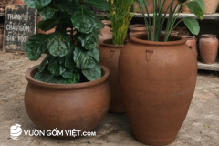 Chậu đất trồng cây loại lớn mua ở đâu ? giá bán bao nhiêu tiền 1 cái